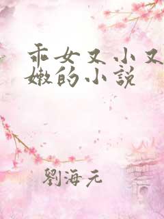 乖女又小又紧又嫩的小说