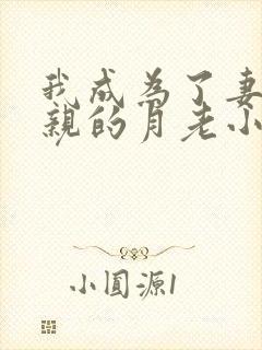 我成为了妻子父亲的月老小说