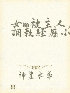 女m被主人虐玩调教经历小说