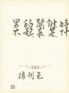 男的关键时刻硬不起来是什么原因