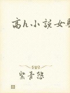 高h小说女骚
