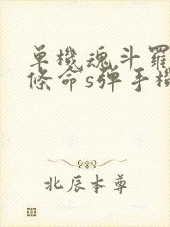 单机魂斗罗30条命s弹手机版