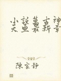 小说万古神帝飞天鱼最新章节目录