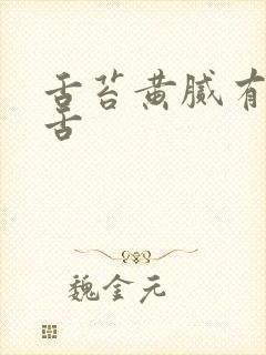 舌苔黄腻有齿痕舌