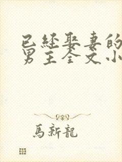 已经娶妻的失忆男主全文小说