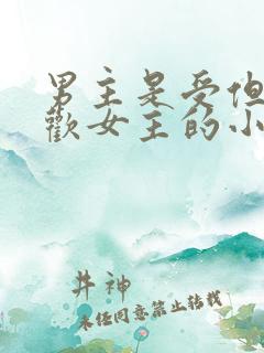 男主是受但是喜欢女主的小说