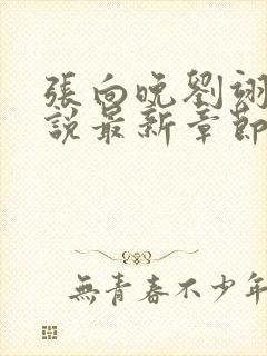 张向晚刘翊京小说最新章节更新时间