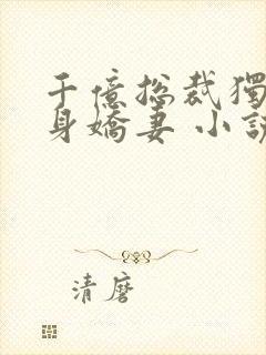 千亿总裁独宠替身娇妻 小说