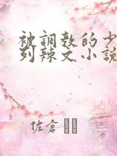 被调教的少妇系列辣文小说