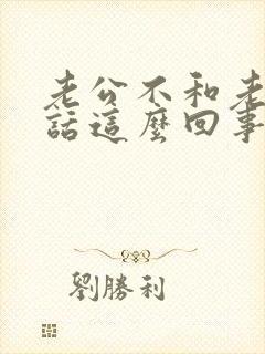 老公不和老婆说话这么回事了