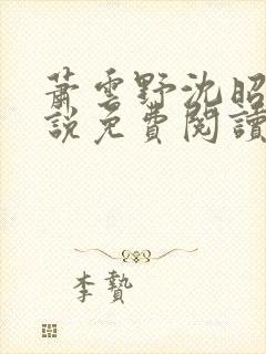 萧云野沈昭宁小说免费阅读最新章节