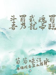 斗罗武魂罗三炮吾乃龙帝临世