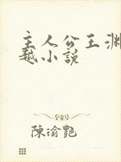 主人公王渊的穿越小说