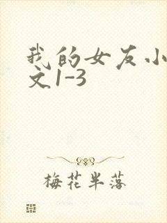 我的女友小洁全文1-3