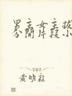 男主女主拔腿就分开片段小说