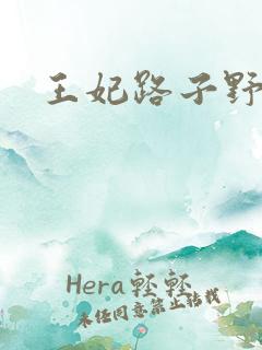 王妃路子野得宠