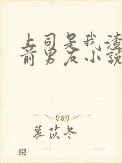 上司是我渣过的前男友小说免费阅读