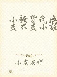 小骚货我操的你爽不爽小说