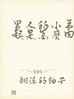 男人的小弟硬不起是怎么回事