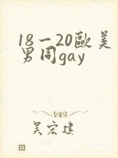 18一20欧美男同gay
