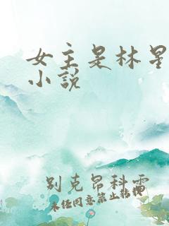 女主是林星澜的小说