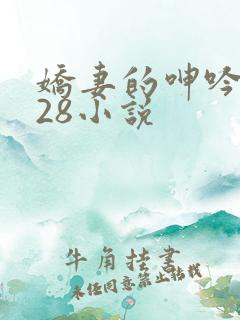 娇妻的呻吟1—28小说