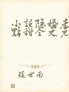 小说隐婚老公有点甜全文免费阅读