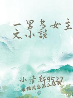 一男多女主高干文小说