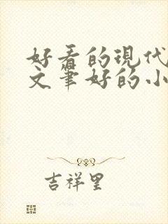 好看的现代言情文笔好的小说