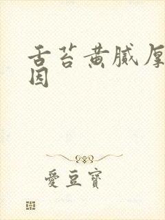 舌苔黄腻厚的原因