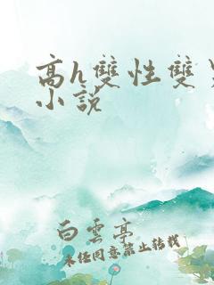 高h双性双男主小说