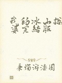 我的冰山总裁老婆完结版