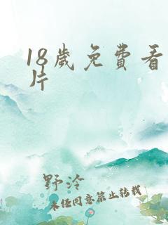 18岁免费看大片