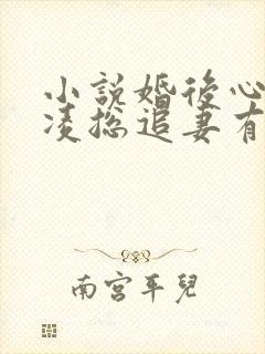 小说婚后心动:凌总追妻有点甜全集