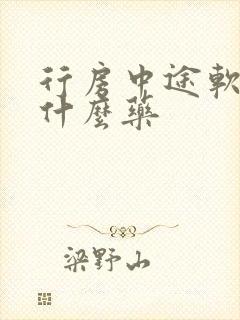 行房中途软了吃什么药