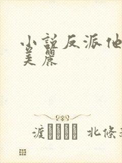 小说反派他过分美丽