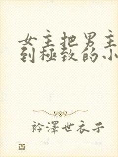 女主把男主囚禁到极致的小说
