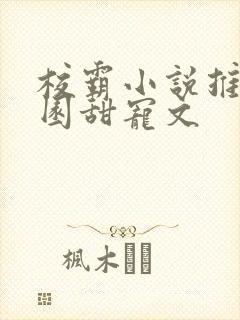 校霸小说推荐校园甜宠文