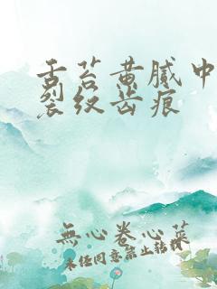 舌苔黄腻中间有裂纹齿痕