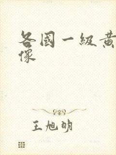 各国一级黄色录像