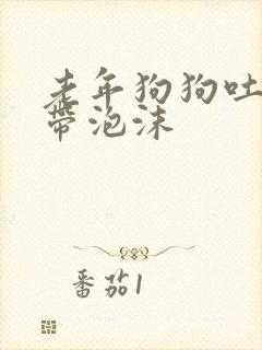 老年狗狗吐黄水带泡沫