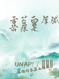 舌苔白厚腻还有齿痕是