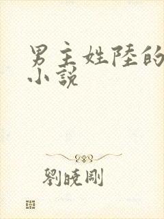 男主姓陆的总裁小说