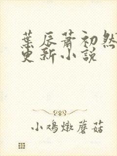 叶辰萧初然最快更新小说