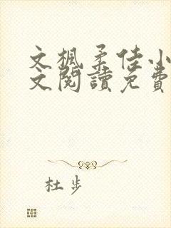 文枫柔佳小说全文阅读免费