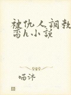 被仇人调教成禁脔h小说