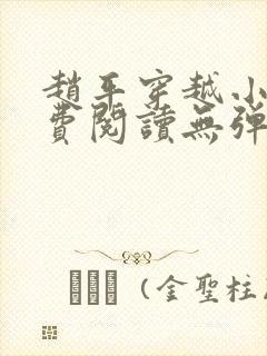 赵平穿越小说免费阅读无弹窗