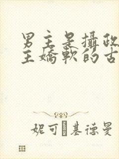 男主是摄政王女主娇软的古言