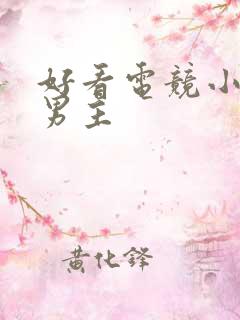 好看电竞小说双男主