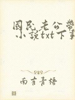 国民老公带回家 小说txt下载